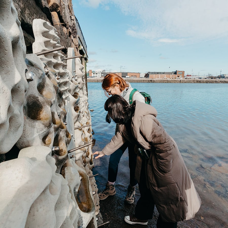 Students examining the Stone Living Lab sea wall.