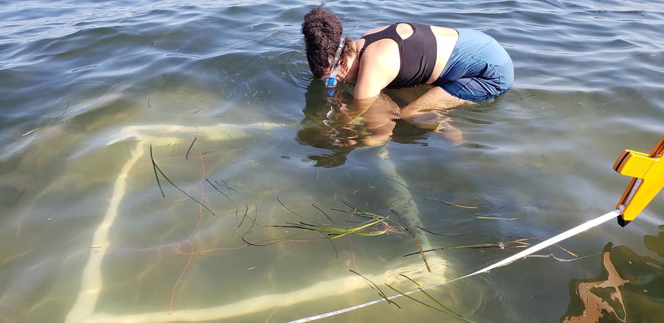 Student in working in the water