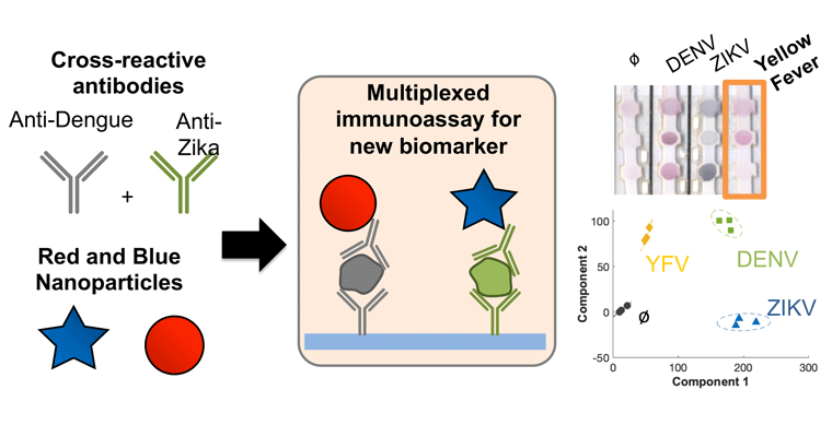 This shows the general procedure for using off-the-shelf antibodies. 