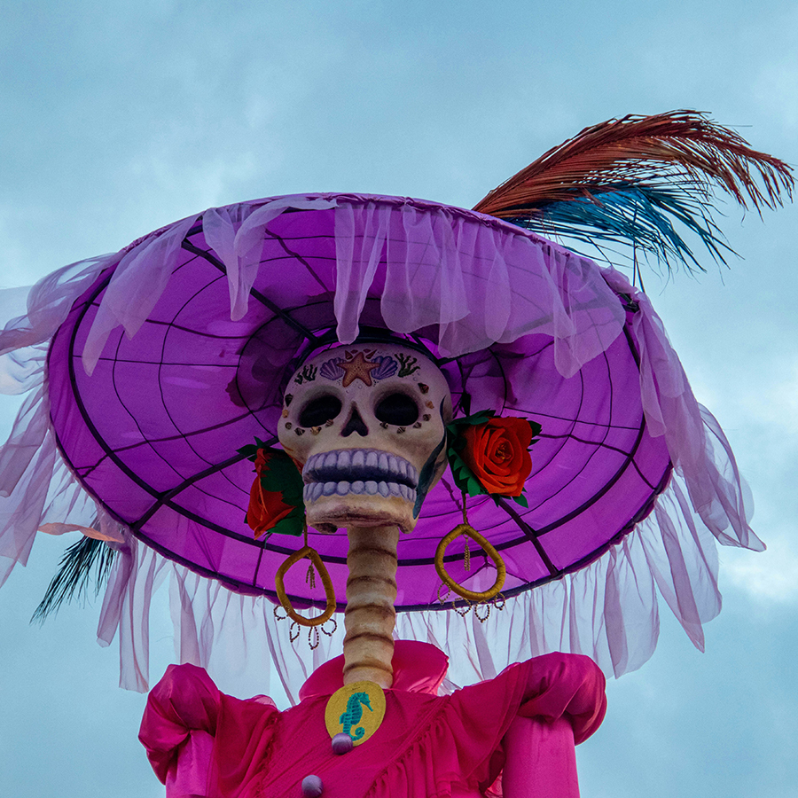 skeleton wearing purple hat with feather - Photo by Cortor Media on Unsplash